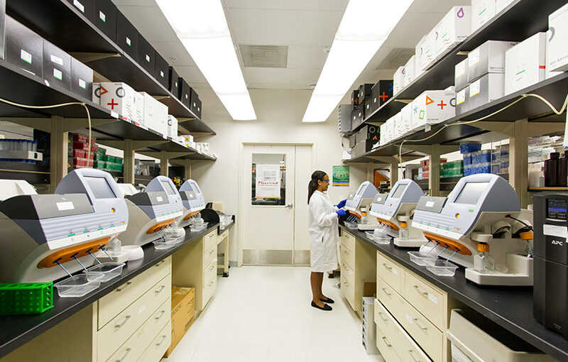 Leveraging HCM and AI for Singapore’s Pharmaceutical Industry Efficiency